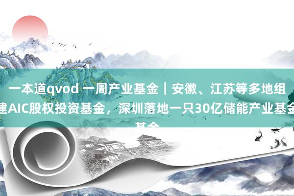 一本道qvod 一周产业基金｜安徽、江苏等多地组建AIC股权投资基金，深圳落地一只30亿储能产业基金