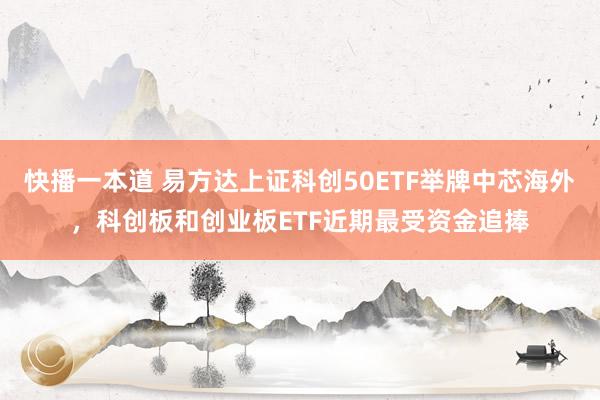 快播一本道 易方达上证科创50ETF举牌中芯海外，科创板和创业板ETF近期最受资金追捧