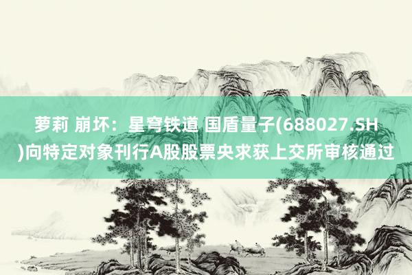 萝莉 崩坏：星穹铁道 国盾量子(688027.SH)向特定对象刊行A股股票央求获上交所审核通过