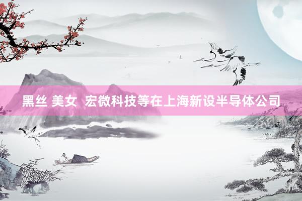黑丝 美女  宏微科技等在上海新设半导体公司