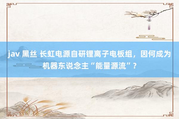 jav 黑丝 长虹电源自研锂离子电板组，因何成为机器东说念主“能量源流”？