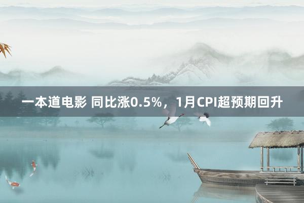 一本道电影 同比涨0.5%，1月CPI超预期回升