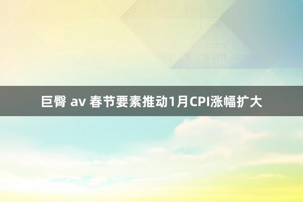 巨臀 av 春节要素推动1月CPI涨幅扩大