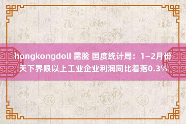 hongkongdoll 露脸 国度统计局：1—2月份天下界限以上工业企业利润同比着落0.3%