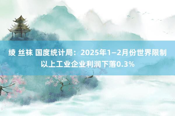 绫 丝袜 国度统计局：2025年1—2月份世界限制以上工业企业利润下落0.3%