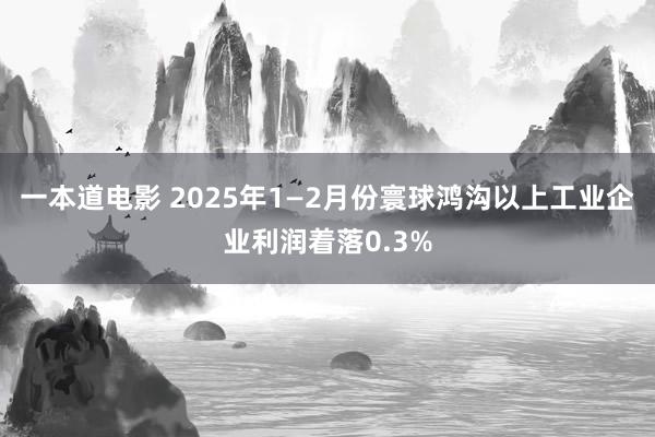 一本道电影 2025年1—2月份寰球鸿沟以上工业企业利润着落0.3%